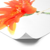 Daisies Poster (Ecke)