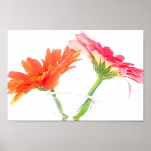 Daisies Poster (Vorne)