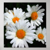 Daisies Poster (Vorne)