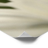 Daisies Poster (Ecke)