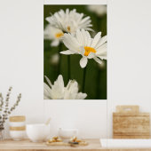 Daisies Poster (Küche)