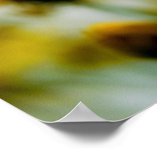 Daisies Poster (Ecke)