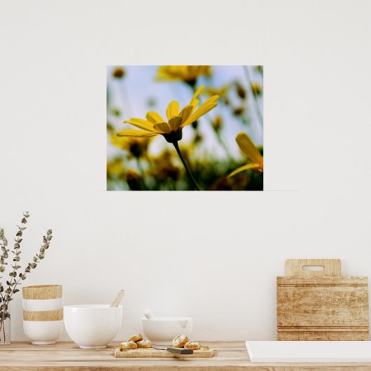 Daisies Poster (Küche)