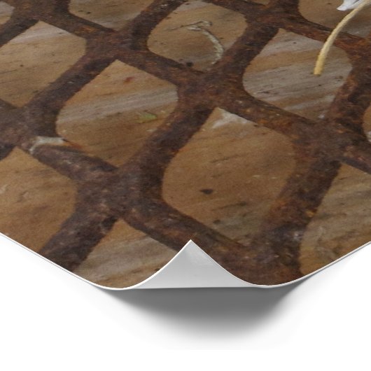 Daisies Poster (Ecke)