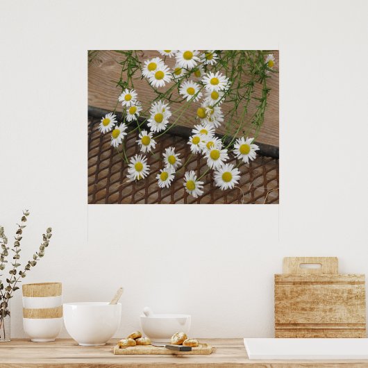 Daisies Poster (Küche)