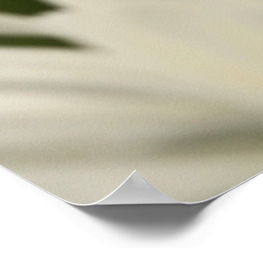 Daisies Poster (Ecke)