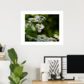 Daisies Poster (Heimbüro)