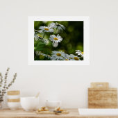 Daisies Poster (Küche)