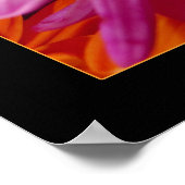 Daisies Poster (Ecke)