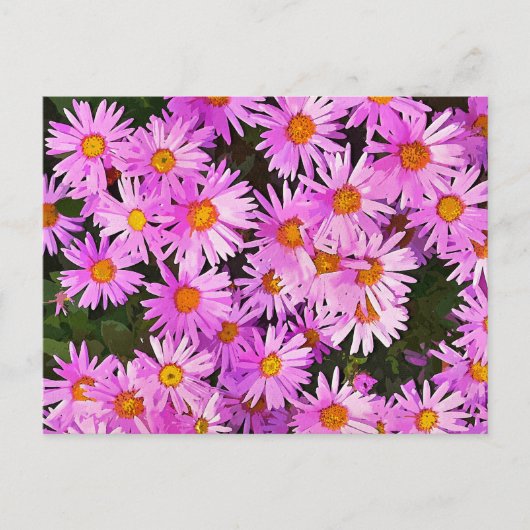 DAISIES POSTKARTE (Vorderseite)