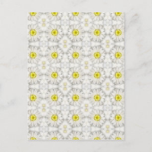 Daisies Postkarte