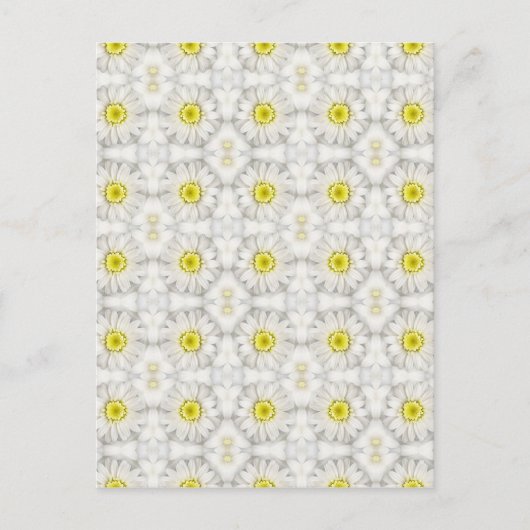 Daisies Postkarte (Vorderseite)