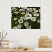 Daisies Print Poster (Küche)