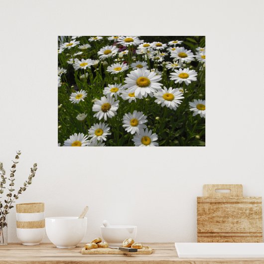Daisies Print Poster (Küche)