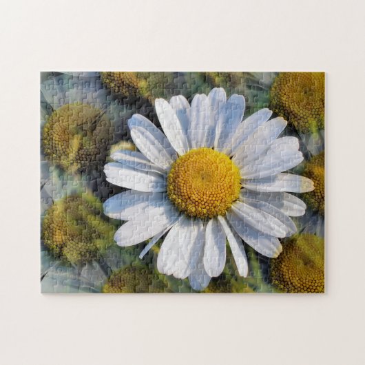DAISIES PUZZLE (Horizontal)