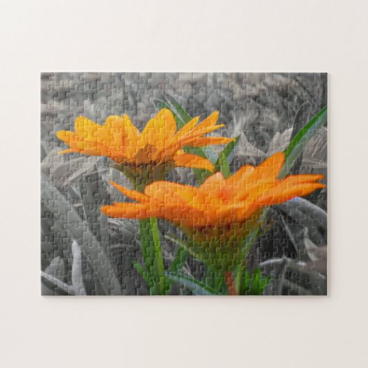 Daisies Puzzle (Horizontal)