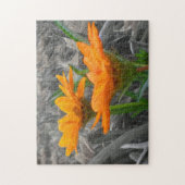 Daisies Puzzle (Vertikal)