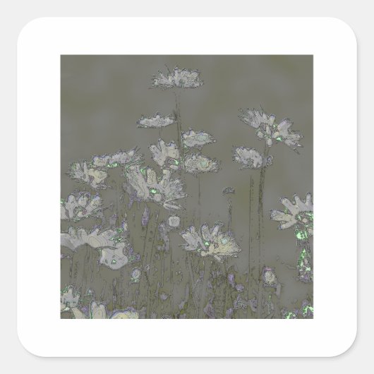 DAISIES QUADRATISCHER AUFKLEBER (Vorderseite)