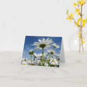 Daisies Reaching für die Sky Postcard Karte (Gelbe Blume)