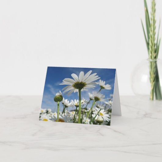 Daisies Reaching für die Sky Postcard Karte (Vorderseite)