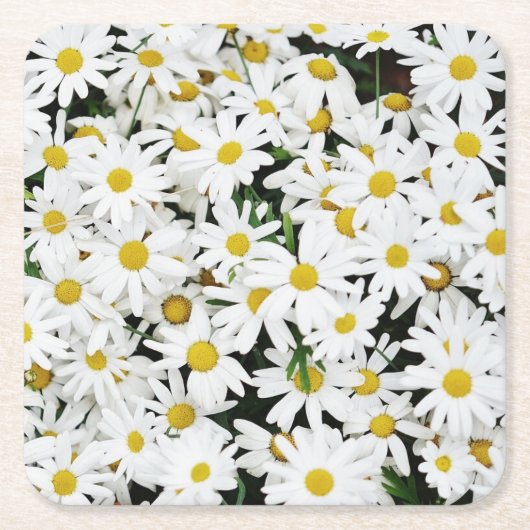 Daisies Rechteckiger Pappuntersetzer (Vorderseite)
