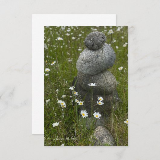 Daisies & Rock Stack Mitteilungskarte (Vorne/Hinten)