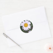 Daisies Runder Aufkleber (Umschlag)