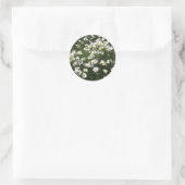 Daisies Runder Aufkleber (Tasche)