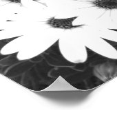 Daisies Schwarz-Weiß-Print Poster (Ecke)