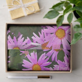 DAISIES SEIDENPAPIER (Geschenk)