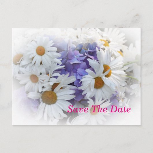 Daisies Summer Wedding Verlobung Postcard Postkarte (Vorderseite)