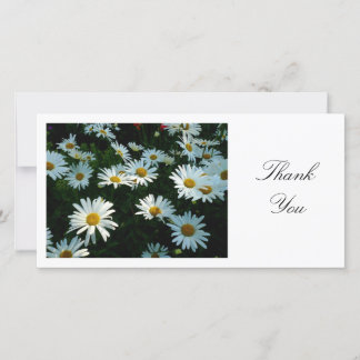 Daisies - Vielen Dank Dankeskarte