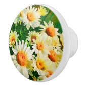 Daisies Watercolor Keramikknauf (Rechts)