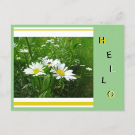 Daisies Wild Blume Collage Cust. Hallo Postkarte