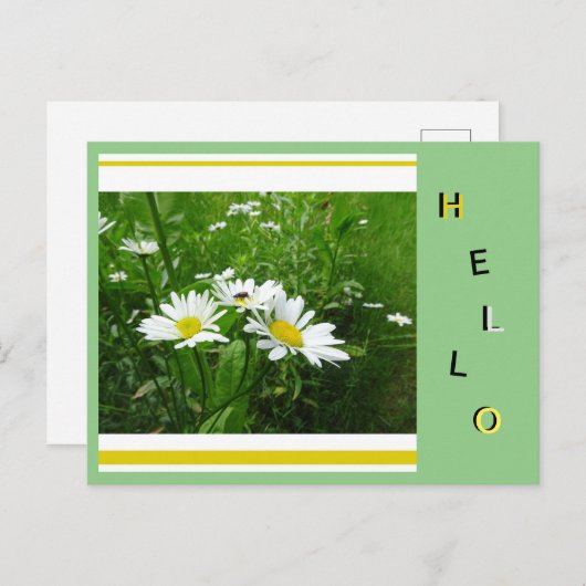 Daisies Wild Blume Collage Cust. Hallo Postkarte (Vorne/Hinten)