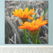 Daisies Wrapped Canvas Leinwanddruck (Insitu (Holzboden))