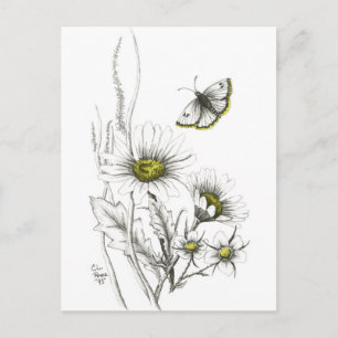 Daisis and Butterfly Postcard Postkarte