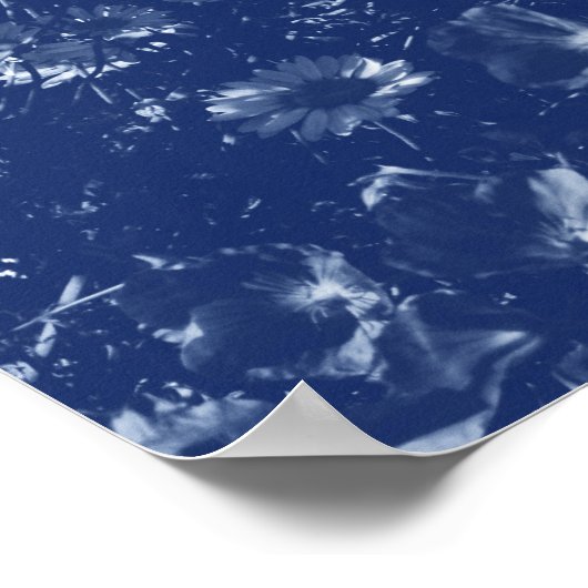 Daisis - Cyanotypwirkung Poster (Ecke)