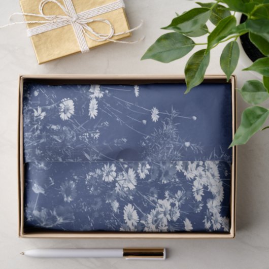 Daisis - Cyanotypwirkung Seidenpapier (Geschenk)