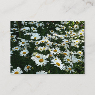 Daisis, Mini-Fotokarte Visitenkarte