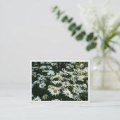Daisis, Mini-Fotokarte Visitenkarte (Stehend Vorderseite)