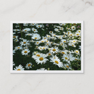 Daisis, Mini-Fotokarte Visitenkarte