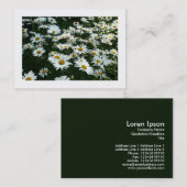 Daisis, Mini-Fotokarte Visitenkarte (Vorne/Hinten)