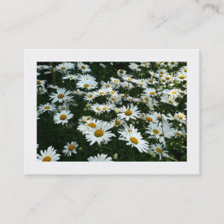 Daisis, Mini-Fotokarte Visitenkarte