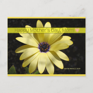 Daisy2 am Muttertag   Blue Beach Song™ Postkarte