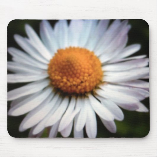 Daisy 1 Mousepad (Vorne)