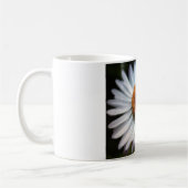 Daisy 1 Tasse (Links)