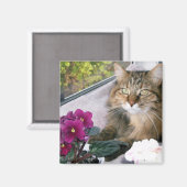 Daisy 4 magnet (Vorderseite/Rückseite)