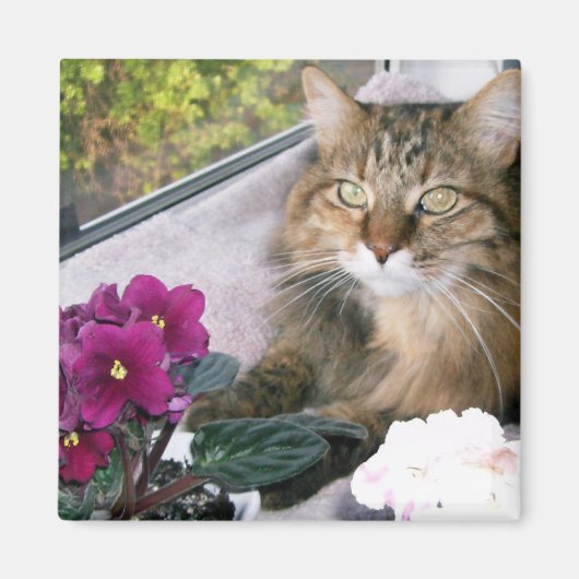 Daisy 4 magnet (Vorne)