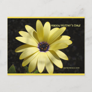 Daisy am Muttertag   Blue Beach Song™ Postkarte